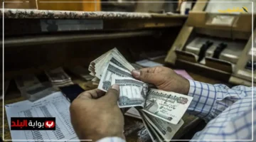 دليلك الشامل كل ما تريد معرفته عن شروط وخطوات التقديم لمعاش تكافل وكرامة 2025 1